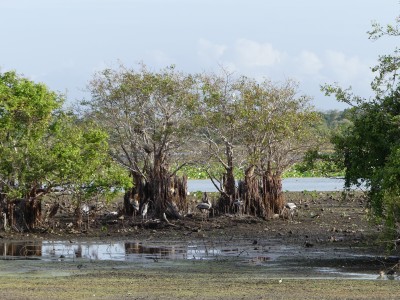 P1530676