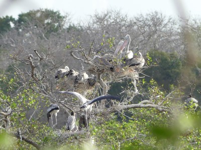 P1530693