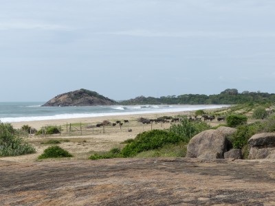 P1530914