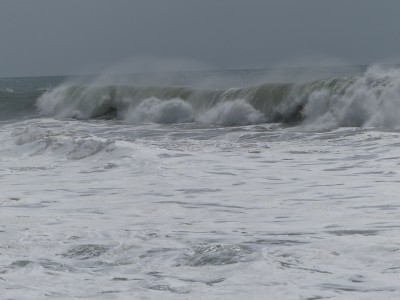 P1530938