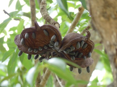P1540005