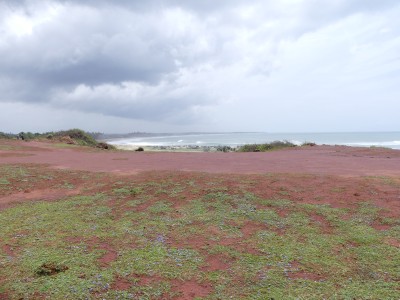 P1550347