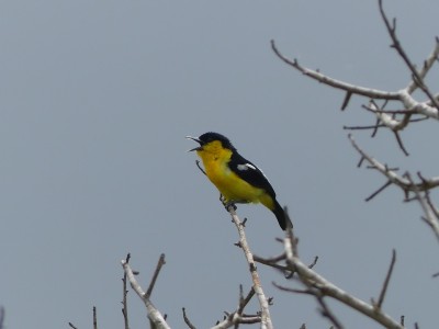 P1550365