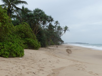 P1550402