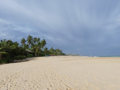 P1550451