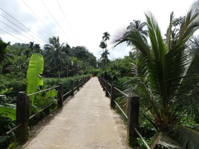 P1550648