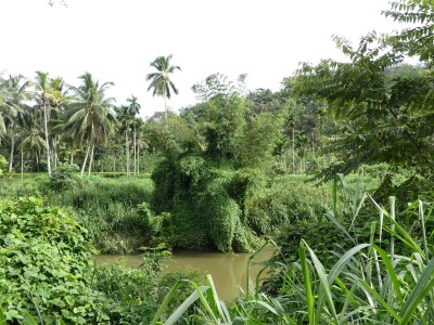 P1550661