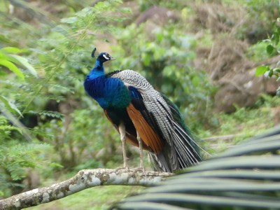 P1550708