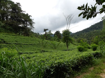 P1550720