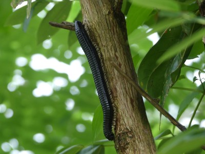 P1550726