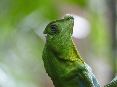 P1550749