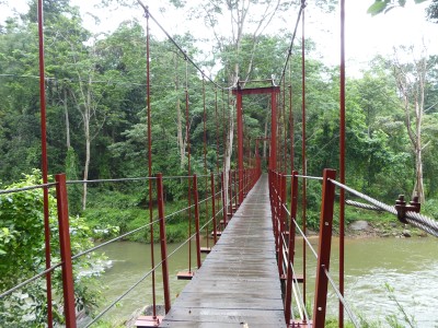 P1550867