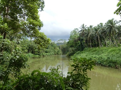P1560119