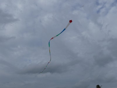 P1560595