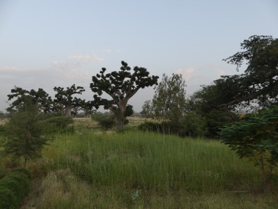 P1560908