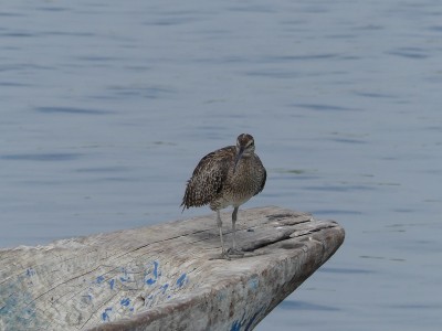 P1570363