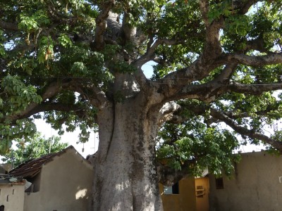 P1570392