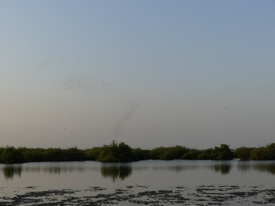 P1570790
