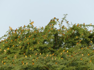 P1570805
