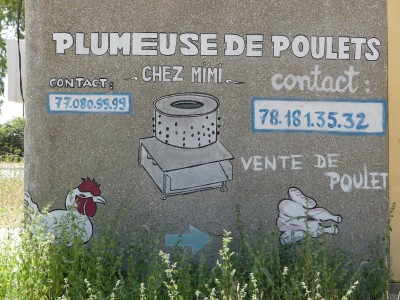 P1580141
