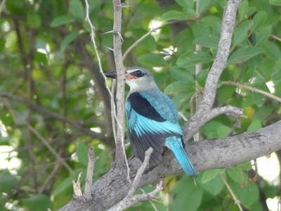 P1580306