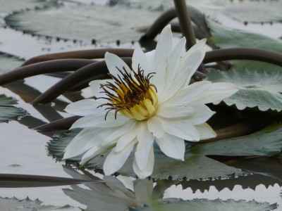 P1580839
