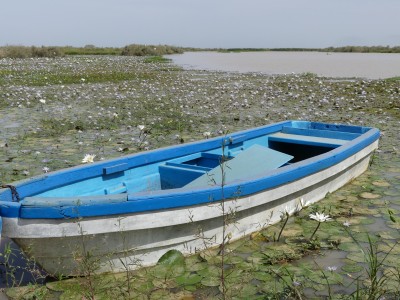 P1580894