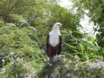 P1590203