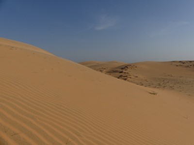 P1590644