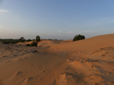P1590692