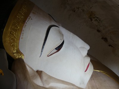 P1600474
