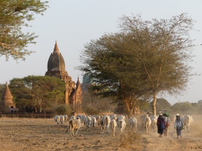 Bagan