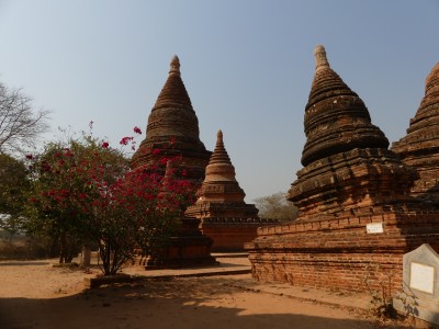 Bagan