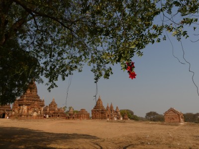 Bagan