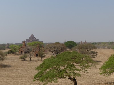 Bagan