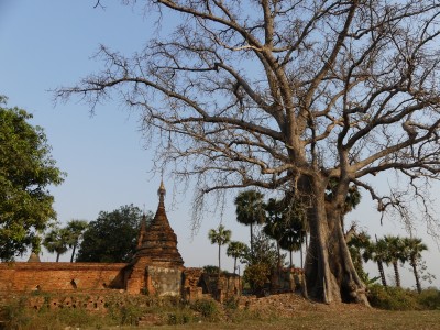 P1610610