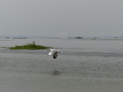Lac Inle