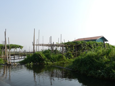 P1620688