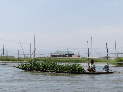 Lac Inle