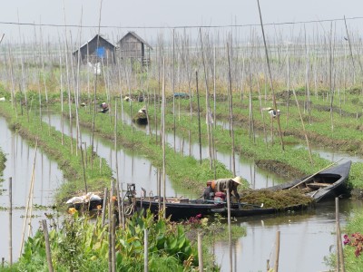 P1630029