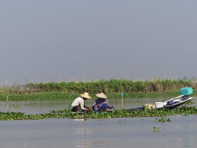 Lac Inle