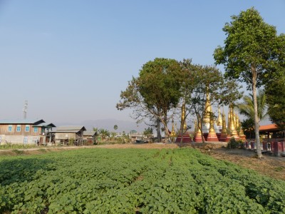 P1630257