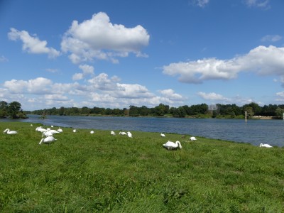 P1730075