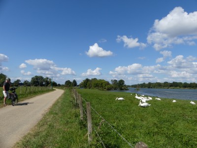 P1730077