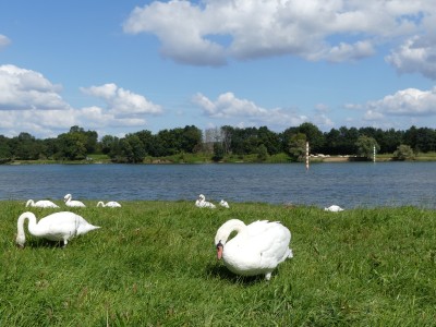 P1730078