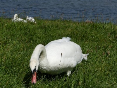 P1730079