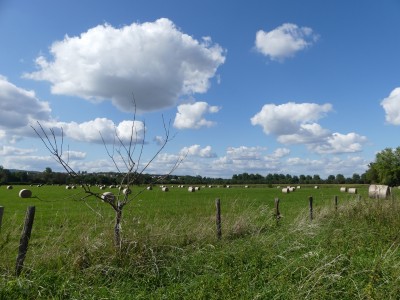 P1730082