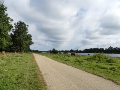 P1730114