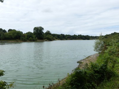 P1710251