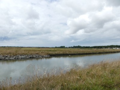 P1710261